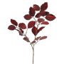 Velvet beech branch GALFHY, burgundy, 70cm
