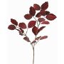 Velvet beech branch GALFHY, burgundy, 28"/70cm