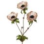 Velvet anemone branch WINFAS, pale pink, 75cm, Ø9–11cm