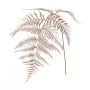 Artificial sword fern branch NALFHY, metallic light pink, 31"/80cm