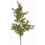 Artificial Asparagus umbellatus branch DIKERNO, green, 30"/75cm