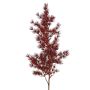 Artificial Asparagus umbellatus branch DIKERNO, burgundy, 30"/75cm