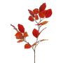 Decorative beech branch LOPERDY, red-orange, 70cm