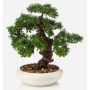 Artificial bonsai ficus MIRSANDA in bonsai bowl, 14"/35cm