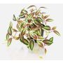 Artificial Tradescantia zebrina 'DIHALLO' in decorative pot, green and red, 7.5"/19cm