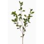 Decorative Lovris spindle tree branch with flowers, green-yellow, 90 cm
