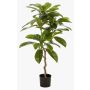 Artificial frangipani tree MORSHA, artificial trunk, green, 4ft/110cm