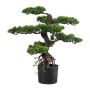 Artificial tree Tea plant bonsai KEFIEL with roots, 26"/65cm