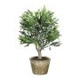 Decorative tree Olive tree GANGES in decorative pot, with fruits, artificial stem, 14"/35cm