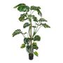 Artificial Philodendron Monstera Deliciosa EIDERA, aerial roots, 6ft/180cm