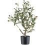 Decorative tree Olive tree OUSEM with fruits, artificial stem, 28"/70cm