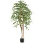 Artificial tree Longifolia TEESY, natural stems, 6ft/170cm