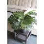 Artificial Philodendron monstera deliciosa CUNKYN in decorative pot, 22"/55cm