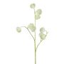 Artificial branch Clematis VITRAL, green-white, 22"/55cm