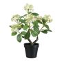 Artificial flower Snowball BRILFEN in decorative pot, artificial stem, white, 18"/45cm