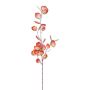 Decorative branch Eucalyptus VORTAN, coral, 33"/85cm