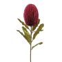 Artificial flower Banksia robur BRAGEK, burgundy red, 26"/65cm