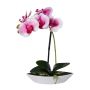 Artificial Phalaenopsis orchid ORWAN, decorative bowl, roots, white-purple, 12"/30cm