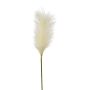 Artificial pampas grass panicle QUAVI, cream, 3ft/100cm