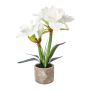 Artificial flower arrangement: Amaryllis OWELRA with grass, cement pot, white, 16"/40cm