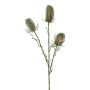 Artificial flower branch Wild teasel BLOVEN, green, 24"/60cm