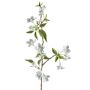 Artificial pear blossom branch SLOFEN with flowers, white, 22"/55cm