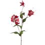 Decorative branch Gloriosa LISUPY, ruby red-gold, 31"/80cm