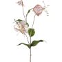 Decorative branch Gloriosa LISUPY, beige-gold, 31"/80cm