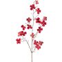 Decorative branch dogwood HISOP, ruby red, 33"/85cm