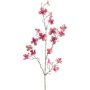 Decorative branch Dogwood HISOP, dark pink, 33"/85cm