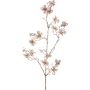 Decorative branch dogwood HISOP, beige, 33"/85cm