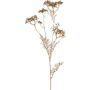 Artificial wild carrot branch GRAHEN, gold, 33"/85cm