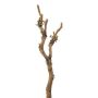 Artificial birch branch VELTON with lichens, brown, 24"/60cm