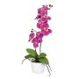 Decorative flower Phalaenopsis orchid MORLEK, ceramic pot, roots, fuchsia, 24"/60cm