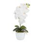 Decorative flower Phalaenopsis orchid DRINTOR, ceramic pot, roots, white, 16"/40cm
