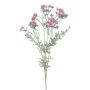 Artificial branch Wild carrot MORVAN, fuchsia, 20"/50cm