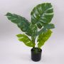 Artificial plant: Philodendron monstera deliciosa CUNKYN in decorative pot, 24"/60cm