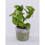 Artificial mint plant POLINDA in a decorative pot, green, 10"/26cm