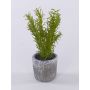 Artificial rosemary POLINDA in a decorative pot, green, 10"/26cm