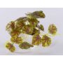 WOLINDA variegated nettle artificial plant, decorative pot, hanging, green, 16cm