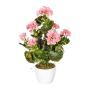 Decorative flower Geranium DOLKREN, ceramic pot, crossdoor, pink, 16"/40cm
