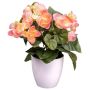Artificial flower Begonia SYLINA, white decorative pot, pink, 10"/25cm