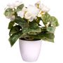 Artificial flower Begonia SYLINA, white decorative pot, cream, 10"/25cm
