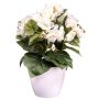 Artificial flower Begonia SYLINA, white decorative pot, cream, 12"/30cm