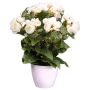 Artificial flower Begonia SYLINA, white decorative pot, cream, 14"/35cm