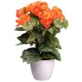 Artificial flower Begonia SYLINA, white decorative pot, orange, 14"/35cm