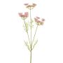 Artificial wild carrot branch KRAHEN, pink, 20"/50cm