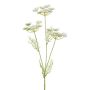 Artificial wild carrot branch KRAHEN, white, 50cm