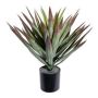 Artificial palm Yucca elephantipes PLEMO, green-red, 20"/50cm