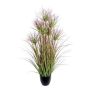 Decorative grass Cyperus papyrus DARSA in decorative pot, green-red, 3ft/95cm